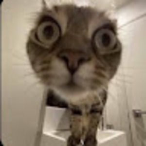 Meet your Posher, Hailey